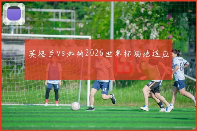 英格兰vs加纳2026世界杯场地适应