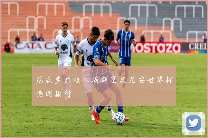 厄瓜多尔核心埃斯图皮尼安世界杯热词排行