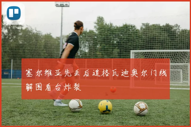 塞尔维亚先丢后追格瓦迪奥尔门线解围看台炸裂