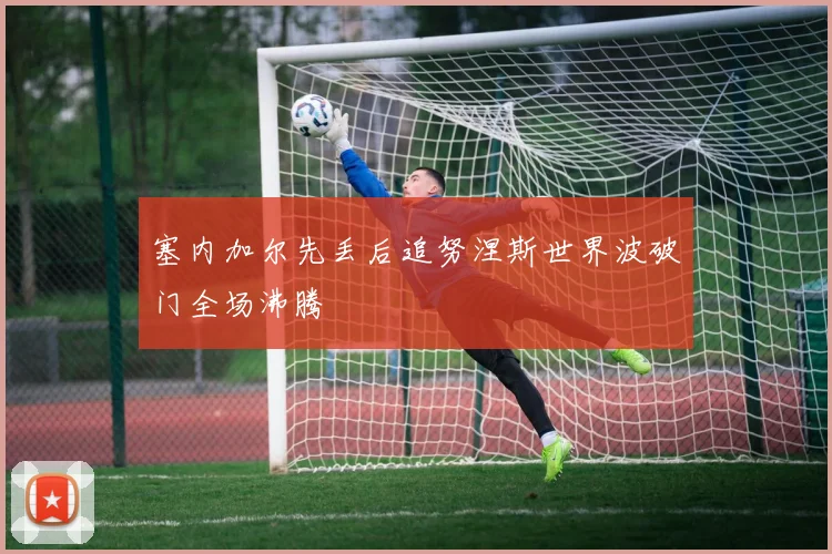 塞内加尔先丢后追努涅斯世界波破门全场沸腾