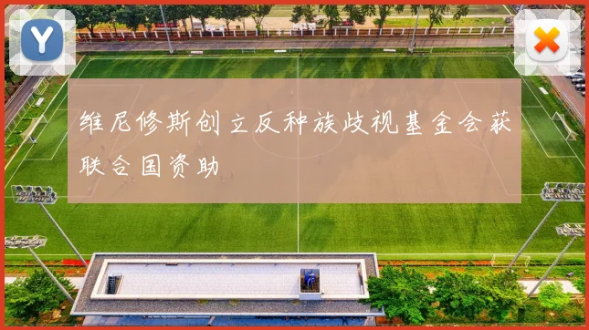 维尼修斯创立反种族歧视基金会获联合国资助
