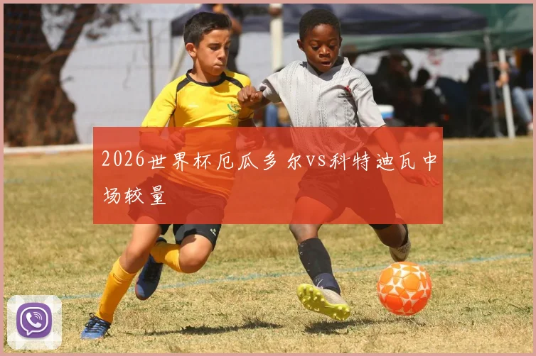 2026世界杯厄瓜多尔vs科特迪瓦中场较量