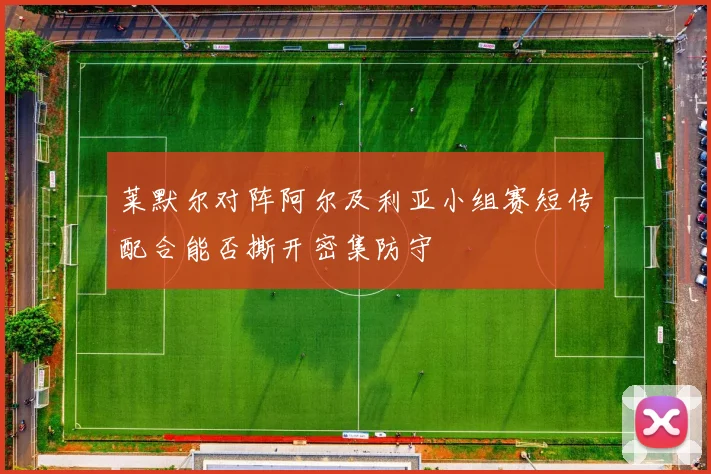 莱默尔对阵阿尔及利亚小组赛短传配合能否撕开密集防守